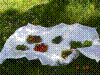 DSC01091_resize.JPG
